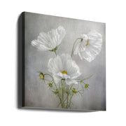 Cosmos Charm Square Canvas Art  Mandy Disher 