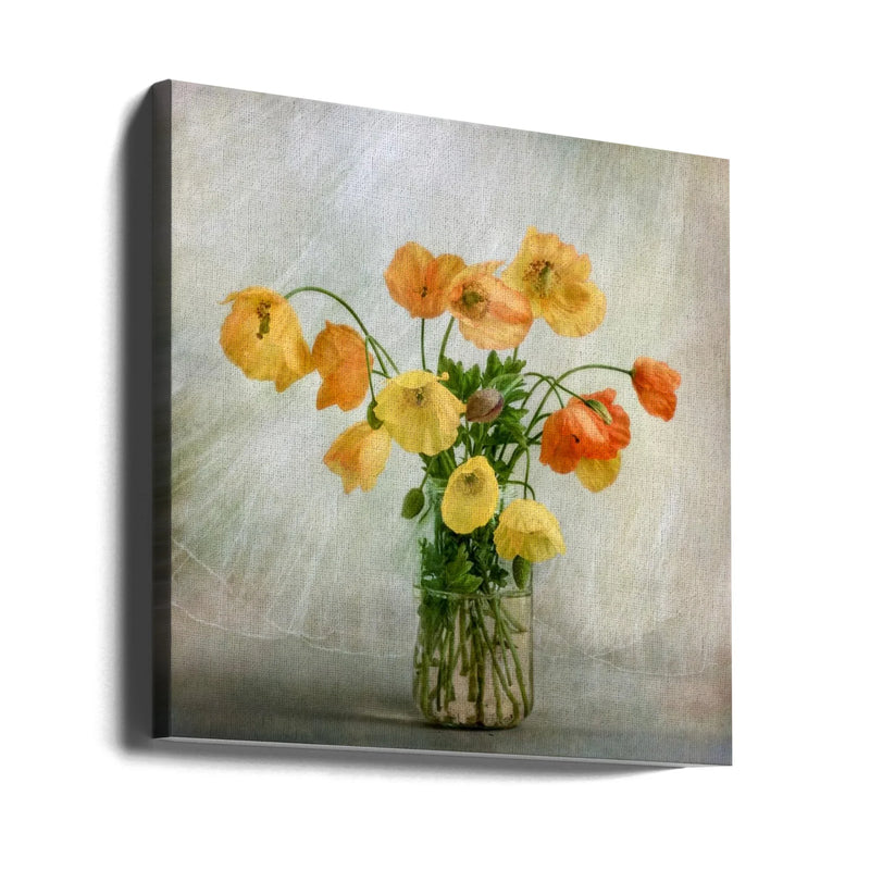 In the window by Mandy Disher Square Canvas Print Art for Modern Home Decor. Decorate your office or living room with canvas artwork