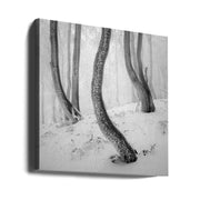 Frozen Forest by Martin Rak Square Canvas Print Art for Modern Home Decor. Decorate your office or living room with canvas artwork