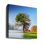 4 seasons by Adam Brzuszek Square Canvas Print Art for Modern Home Decor. Decorate your office or living room with canvas artwork