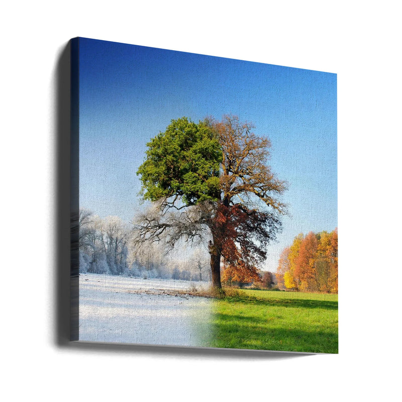 4 seasons by Adam Brzuszek Square Canvas Print Art for Modern Home Decor. Decorate your office or living room with canvas artwork