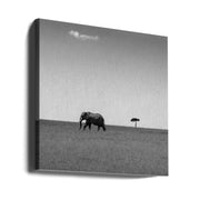 Elephant and the friendly cloud... by Ali Khataw Square Canvas Print Art for Modern Home Decor. Decorate your office or living room with canvas artwork
