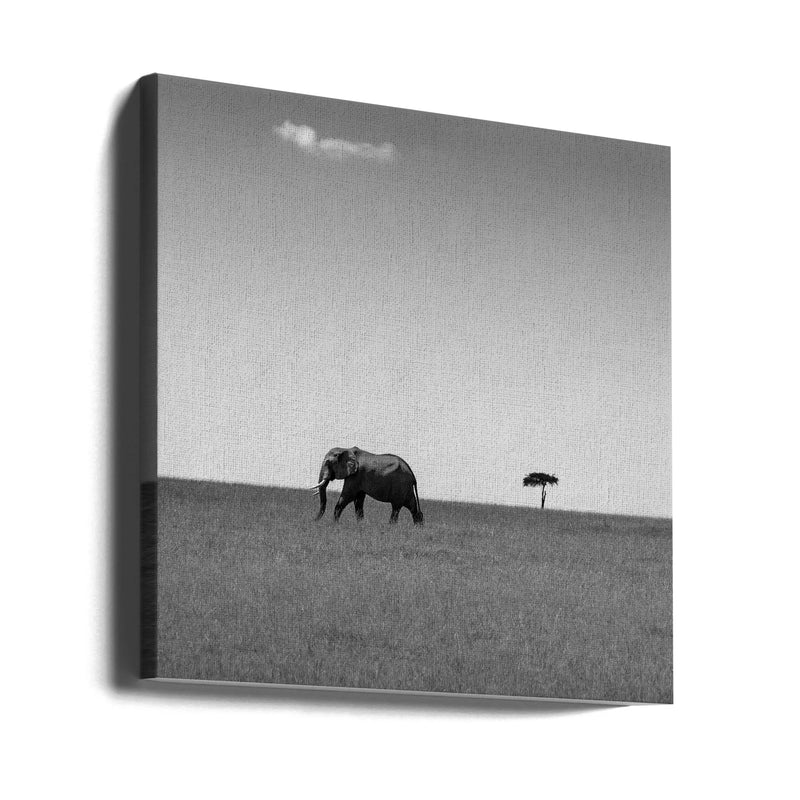 Elephant and the friendly cloud... by Ali Khataw Square Canvas Print Art for Modern Home Decor. Decorate your office or living room with canvas artwork