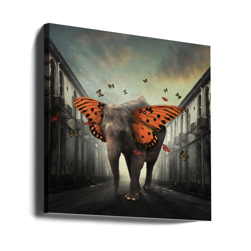 Butterphant by hardibudi Square Canvas Print Art for Modern Home Decor. Decorate your office or living room with canvas artwork
