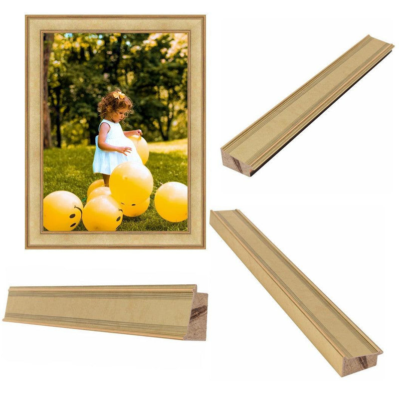 Pitcher Frame Moden Contemporary Champagne Picture Frame Modern Framing