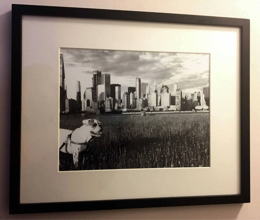 English bulldog framed art Black and white NYC skyline