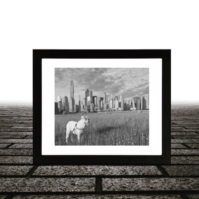 English bulldog framed art Black and white NYC skyline