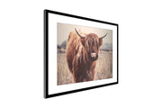 Highlander Cow Wall Art Decor