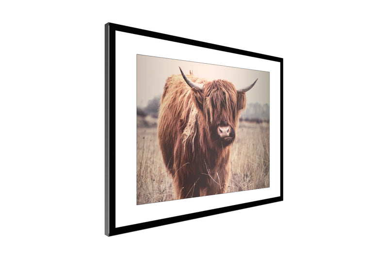 Highlander Cow Wall Art Decor