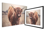 Highlander Cow Wall Art Decor
