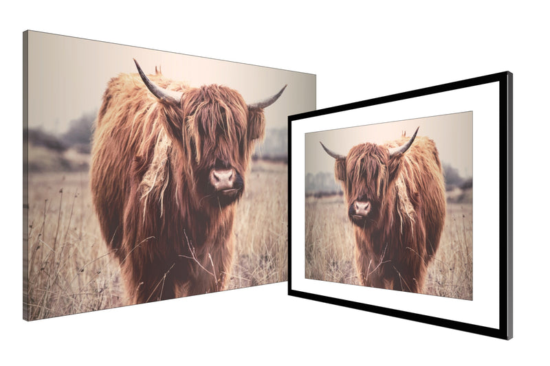 Highlander Cow Wall Art Decor
