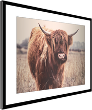 Highlander Cow Wall Art Decor