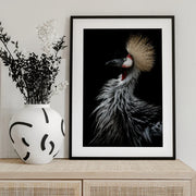 Crowned crane's portrait Framed Art Eiji Itoyama | Home or Office Art