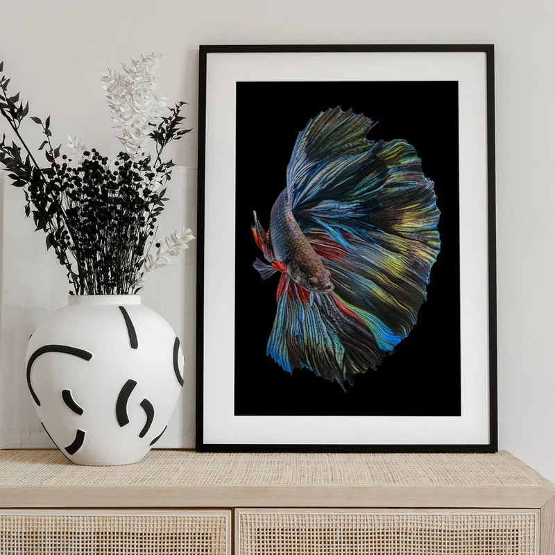 The  Betta Fish Framed Art Andi Halil | Home or Office Art