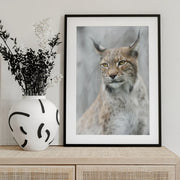 Lynx portrait in the fog Framed Art Santiago Pascual Buye | Home or Office Art