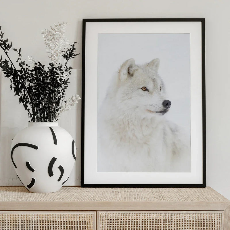 Portrait of an Arctic Wolf Framed Art Jim Cumming | Home or Office Art