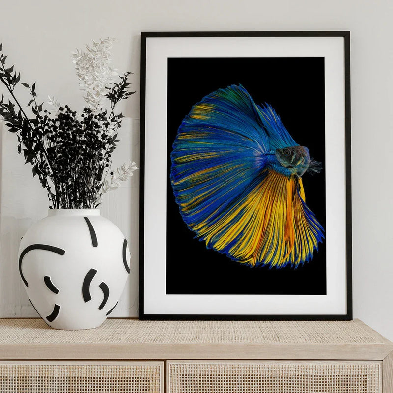 Yellow &amp; Blue Framed Art Andi Halil | Home or Office Art