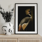 Grey Crowned Crane Framed Art Jealousy | Home or Office Art