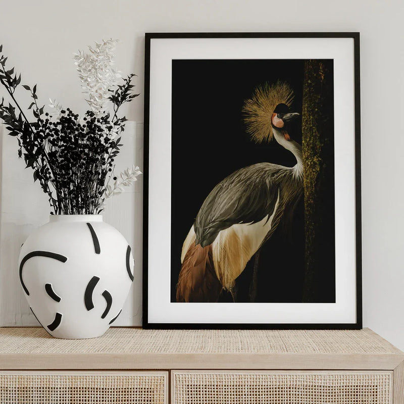Grey Crowned Crane Framed Art Jealousy | Home or Office Art