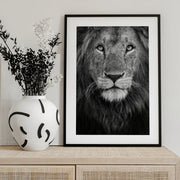 Royal portrait Framed Art Xavier Ortega | Home or Office Art