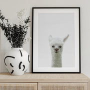 Llama Framed Art Pictufy Studio II | Home or Office Art