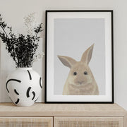 Rabbit Framed Art Pictufy Studio II | Home or Office Art