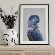 Black Cockatoo Framed Art Kathrin Pienaar | Home or Office Art