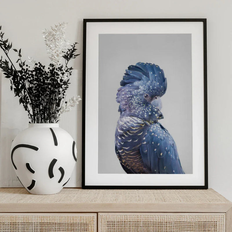 Black Cockatoo Framed Art Kathrin Pienaar | Home or Office Art