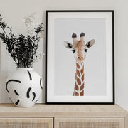 Baby Giraffe Framed Art Kathrin Pienaar | Home or Office Art