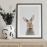 Baby Rabbit Framed Art Kathrin Pienaar | Home or Office Art