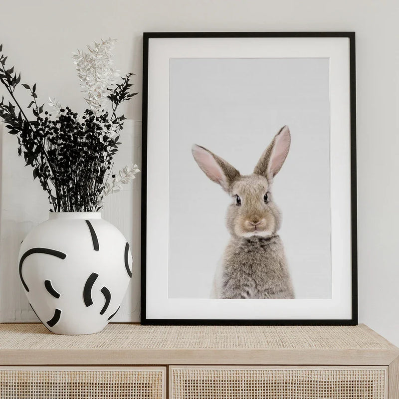 Baby Rabbit Framed Art Kathrin Pienaar | Home or Office Art