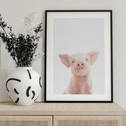 Baby Pig Framed Art Kathrin Pienaar | Home or Office Art