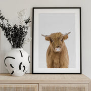 Baby Cow Framed Art Kathrin Pienaar | Home or Office Art