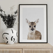 Baby Deer Framed Art Kathrin Pienaar | Home or Office Art