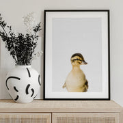 Baby Duck Framed Art Kathrin Pienaar | Home or Office Art