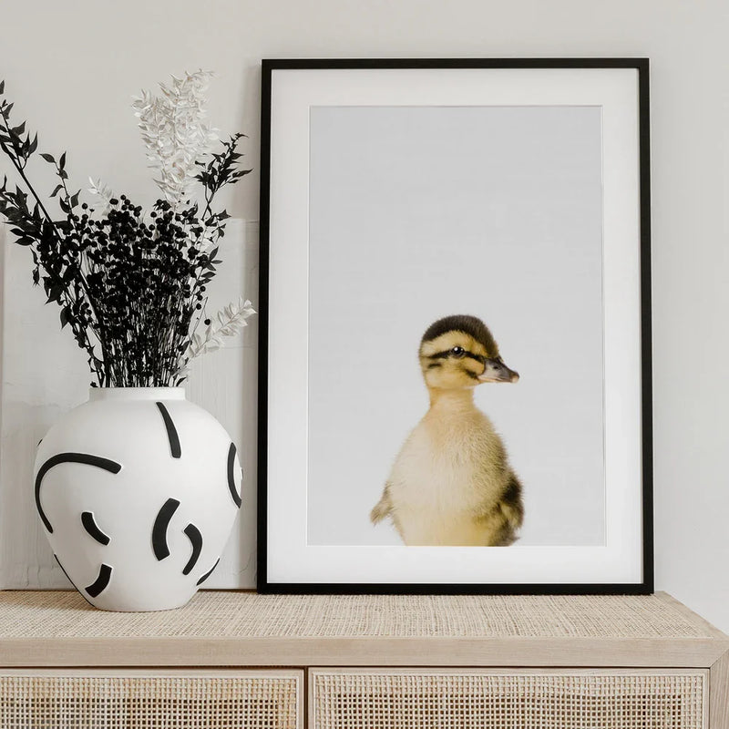 Baby Duck Framed Art Kathrin Pienaar | Home or Office Art