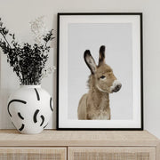 Baby Donkey Framed Art Kathrin Pienaar | Home or Office Art