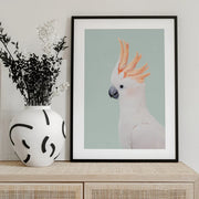 Cockatoo Framed Art Kathrin Pienaar | Home or Office Art