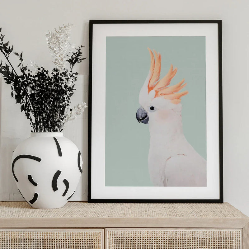 Cockatoo Framed Art Kathrin Pienaar | Home or Office Art