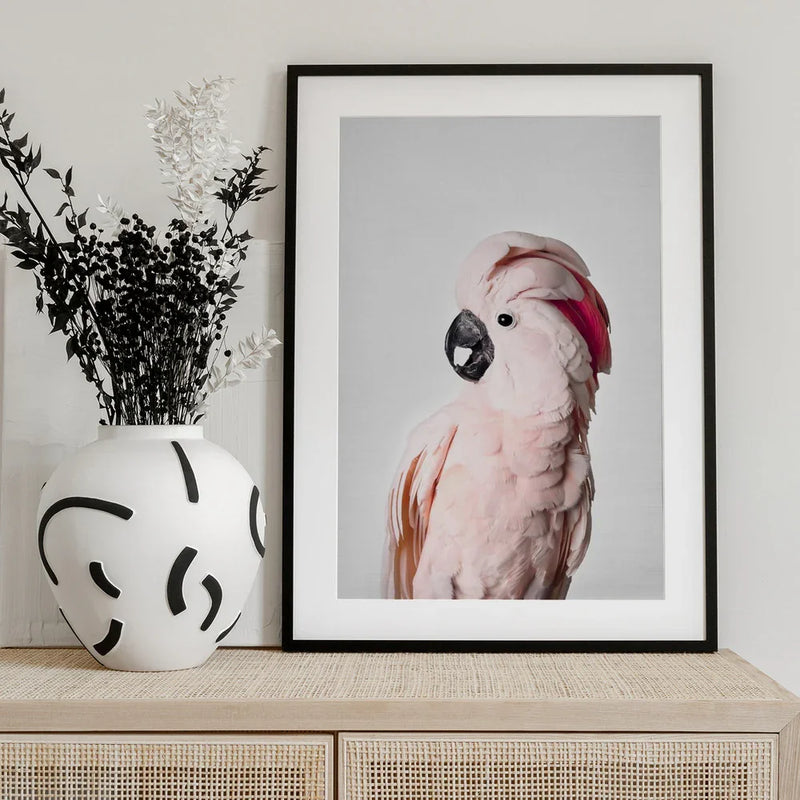 Pink Cockatoo Framed Art Kathrin Pienaar | Home or Office Art