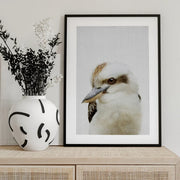 Peekaboo Kookaburra Framed Art Lola Peacock | Home or Office Art