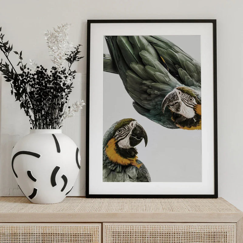 Amazonia Framed Art Shot by Clint | Home or Office Art