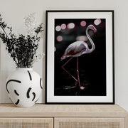 Dancing Flamingo Framed Art Shot by Clint | Home or Office Art