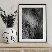 Elephant Study Framed Art Shot by Clint | Home or Office Art