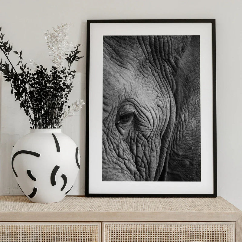 Elephant Study Framed Art Shot by Clint | Home or Office Art
