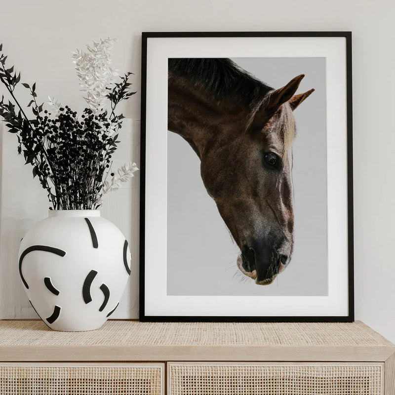 Kalimazoo Framed Art Shot by Clint | Home or Office Art