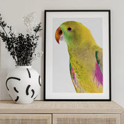 Polly Framed Art Shot by Clint | Home or Office Art
