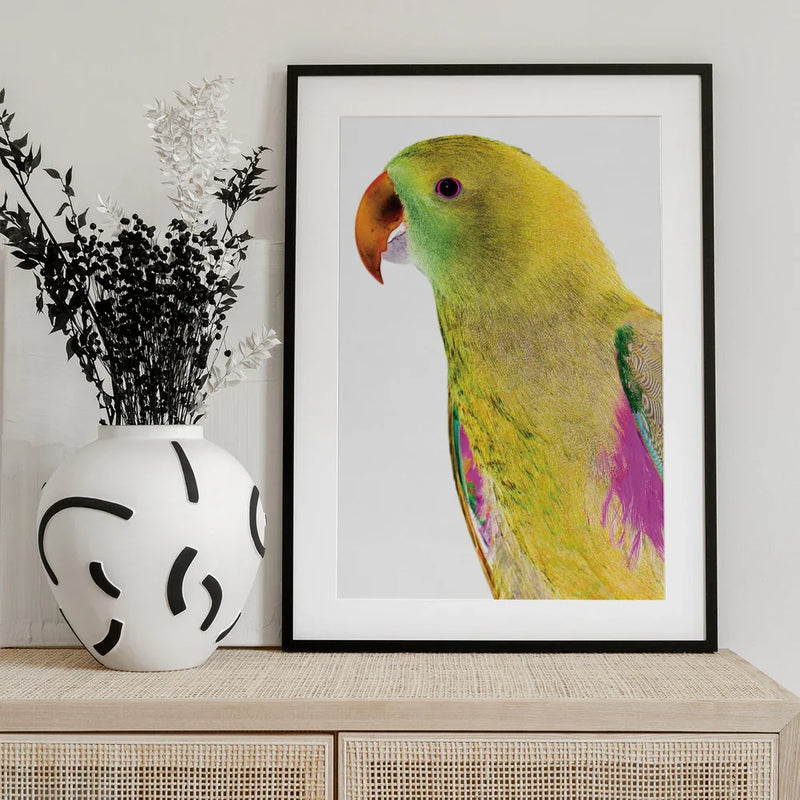 Polly Framed Art Shot by Clint | Home or Office Art