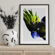 Punk Rocker Framed Art Shot by Clint | Home or Office Art