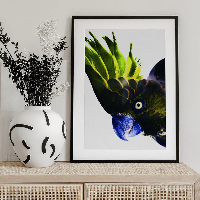 Punk Rocker Framed Art Shot by Clint | Home or Office Art